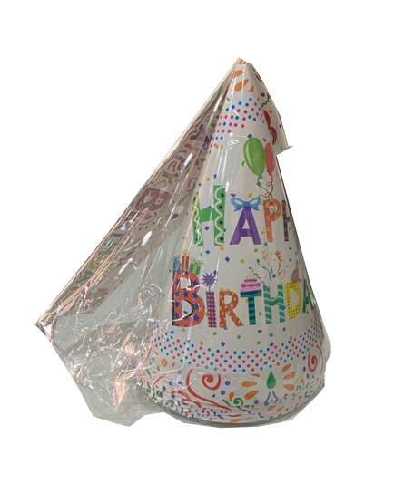 PARTY POINT / 8 INCH PAPER HAT / 6PC